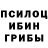 Псилоцибиновые грибы прущие грибы Insar Yeslamov