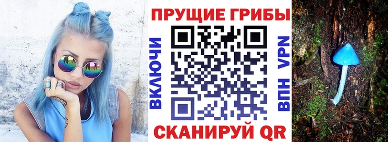 Псилоцибиновые грибы Psilocybine cubensis  Кологрив 